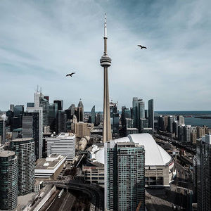 Meet your Posher, Ali